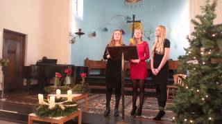 When Mary Sang Her Lullaby  Sally DeFord Yvonne Jasmijn amp Nelleke [upl. by Ennaid]