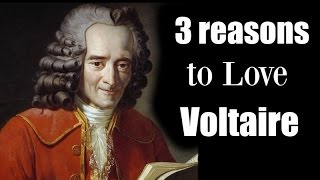 3 Reasons to Love Voltaire [upl. by Kathy]