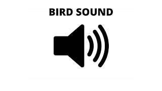 Sweet Bird Sound  Morning Sound Effect Garden Bird [upl. by Harahs896]