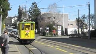 Lisbethli Tram Zurich [upl. by Elauqsap]