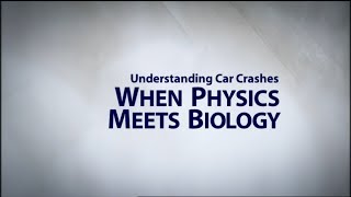 Understanding Car Crashes When Physics Meets Biology [upl. by Hole]