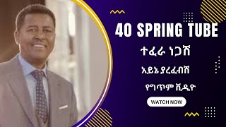 Tefera Negash Ayne yarefebsh ተፈራ ነጋሽ አይኔ ያረፈብሽ Lyrics [upl. by Ailegna381]