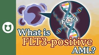 What is FLT3positive AML What is gilteritinib AML [upl. by Ennovihs]