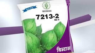 BIOSEED Cotton BINDAAS Marati [upl. by Yllut]