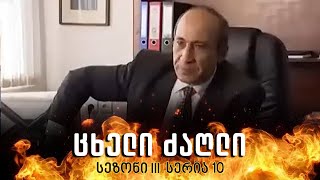 ცხელი ძაღლი  სეზონი 3 სერია 10 [upl. by Homere812]