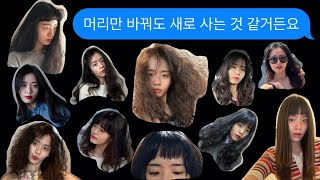 해리하고싶은거다해소프트나이아가라펌비정형앞머리일자뱅 자르기와 생머리 [upl. by Cleopatra]