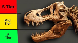 Ranking Dinosaur Fossils Tier List [upl. by Hoffarth187]