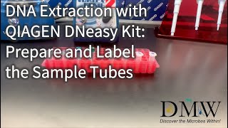 DNA Extraction with QIAGEN DNeasy Kit Prepare and Label the Sample Tubes [upl. by Tarsuss386]