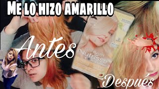 Garnier Nutrísse RUBIO EXTRA CLARO CENIZO  Reseñas con Anna [upl. by Shaine838]