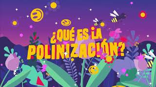 ¿Qué es la polinización  Conoce más sobre las flores los polinizadores y su importancia en 5 min [upl. by Leahcimluap605]