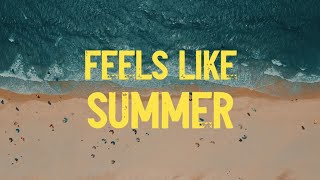 Feels Like Summer  ORIGINAL SONG LYRICAL VIDEO  Nini Uppuluri [upl. by Sexton]