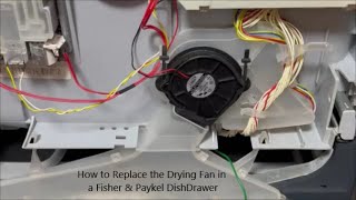 How to Replace the Drying Fan in a Fisher amp Paykel DishDrawer [upl. by Jose]