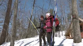 Crosscountry skiing in Gatineau Park [upl. by Daub]