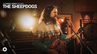 The Sheepdogs  So Far Gone  OurVinyl Sessions [upl. by Joshua]