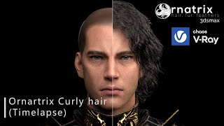 057 Ornatrix curly hair for 3ds Max [upl. by Bennet]