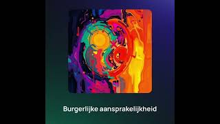 Burgerlijke aansprakelijkheid [upl. by Timofei]