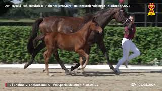 Lot 2 v Chaloubino PS  Im Special de Muze [upl. by Adiehsar]