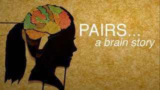 Pairs a brain story [upl. by Proudman965]