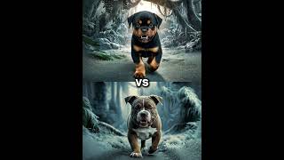 Rottweiler Puppy vs Pitbull puppy  German Shepherd Husky Doberman labrador retriever Pointer [upl. by Fidelis]