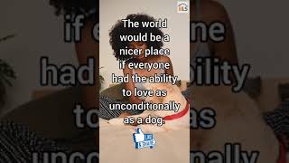 3 Quotes That Every Dog Lover Can Relate To  This Made Me Cry ꞁ Dog Lovers Can Relate shorts 🐾🐾🐾 [upl. by Itsur]