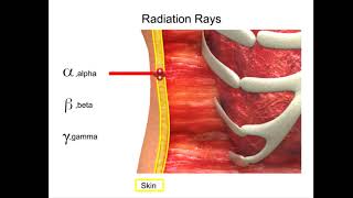 S 4 modern physics Radions and radioactivity y [upl. by Meeka390]