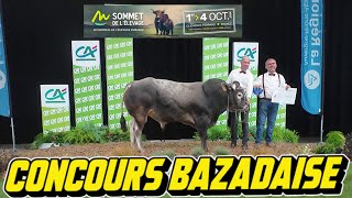 SOMMET ELEVAGE  CONCOURS BAZADAISE [upl. by Ecinaej916]