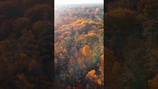 Gatineau Park Fall colours Autumn drone ottawatourism ottawariver [upl. by Orsini]