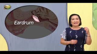 Healing Galing S16EP10  Ruptured Eardrum part1 [upl. by Arhas]