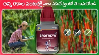 Brofreya Insecticide Telugu  PI Company  Broflanide 20 SC  Agriculture [upl. by Bittner]