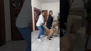 Lambadão Cuiabano shortsdance dance [upl. by Aneehsat516]