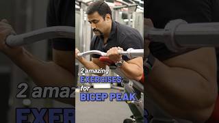 2 amazing Exercises for Bicep Peak 💪 shorts [upl. by Kcitrap]