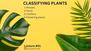 Classification of Plants [upl. by Greenberg]