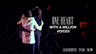 one heart with a million voices  one direction goodbye for now [upl. by Ynaittirb751]