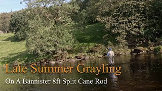 Late Summer Grayling Fishing on the River Wharfe [upl. by Kessiah]