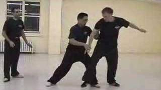 Tai Chi PushHands  Tui Shou 推手 [upl. by Armond]