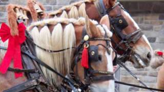 Waynesboro PA HOLIDAY PARADE [upl. by Nerita]