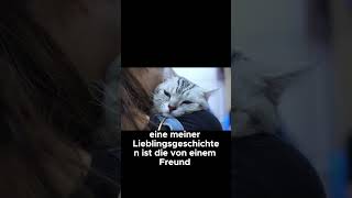 Warum deine Katze dich als Wärmflasche benutzt  Katzenfakten [upl. by Matthieu]