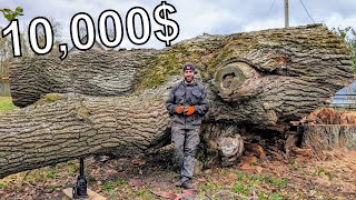 The 10000 Log That Shocked Us [upl. by Wendolyn]