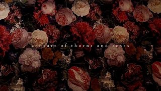 a court of thorns and roses a playlist [upl. by Isidor]