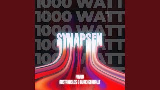 Synapsen 1000 Watt Preview [upl. by Eimyaj251]