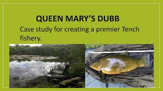 Angling Trust Virtual Forum Tench Fishery Case Study  Queen Marys Figure of 8 Lake [upl. by Esta531]