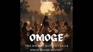 Tems ft Omah Lay Insane Afrobeat type beat OMOGE Afrobeat 2024 [upl. by Ellehcor378]