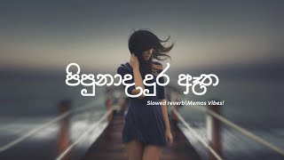 🎶 Pipunada Dura Atha පිපුණාද දුර ඈත🥀  Slowed  Reverb  Memos Vibes [upl. by Trillby623]