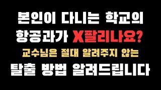 본인의 항공과에 회의감이 들 때 필요한 현실적인 충고와 승무원으로 취업할 수 있는 방법 3가지 팩폭주의 [upl. by Alet245]