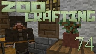 Crocodile Eggs 🐘 Zoo Crafting Episode 74 [upl. by Hayott]