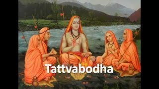 Tattva Bodha  Quick Overview [upl. by Basham]