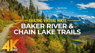 4K Virtual Hike Near River through the Forest  Baker River Trail amp Chain Lake Trail [upl. by Eioj446]