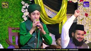 Shan Wakhra din Mahine saal da  Chand Charya Amina de Laal da Rabi ul awal kalam  Super hit kalam [upl. by Ardnoid]