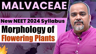 NEET 2024 UPDATED SYLLABUS  Plant Families  Malvaceae  NEET Biology neet neet2024 neetprep [upl. by Lindsay]