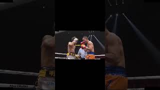 Naoya Inoue Vs Nonito Donaire Highlights [upl. by Nailimixam375]